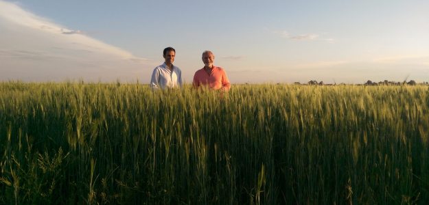 Azienda Agricola Menichella Enrichetta e Figli